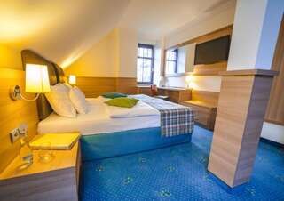 Отель Greno Hotel & Spa Карпач Двухместный номер с 1 кроватью или 2 отдельными кроватями-10